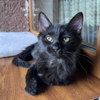 Luna